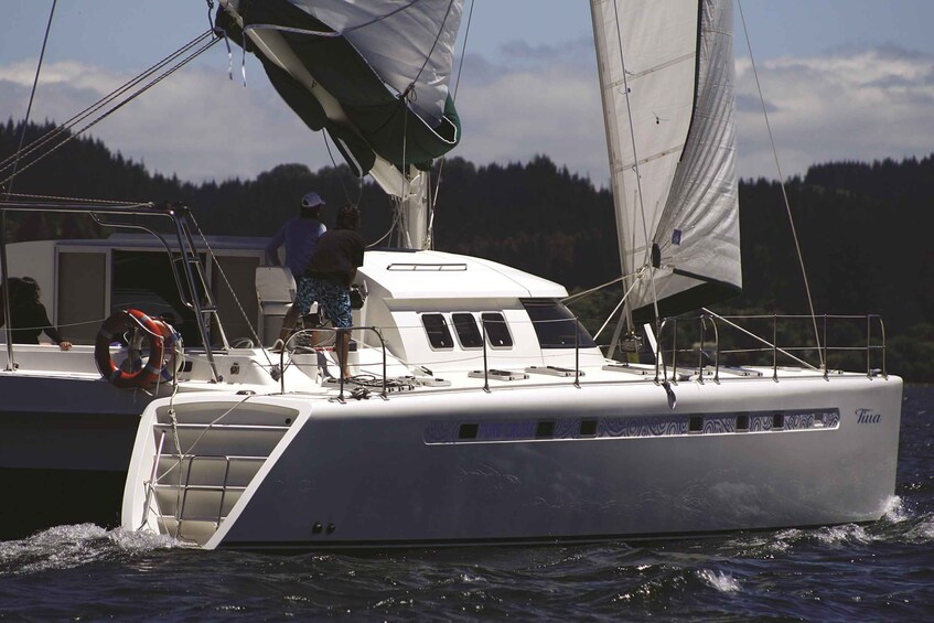 Picture 8 for Activity Taupo: Māori Rock Carvings Lake Taupo Sailing Tour