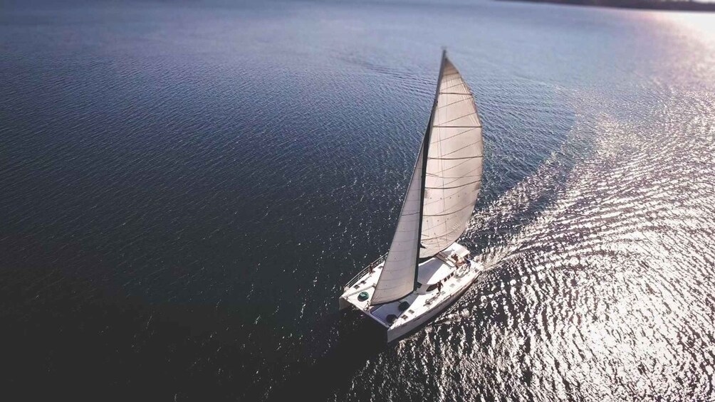 Picture 10 for Activity Taupo: Māori Rock Carvings Lake Taupo Sailing Tour