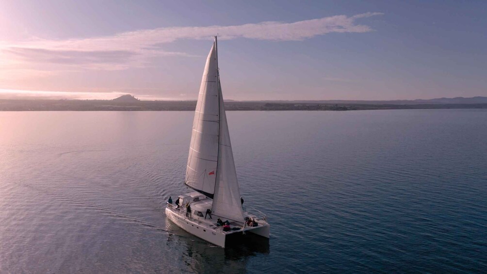 Picture 4 for Activity Taupo: Māori Rock Carvings Lake Taupo Sailing Tour