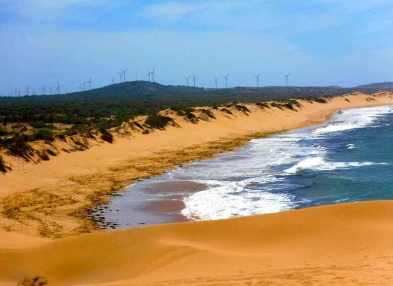 Picture 2 for Activity Essaouria: Beach & Big Dunes 2-Hour Quad Biking Tour