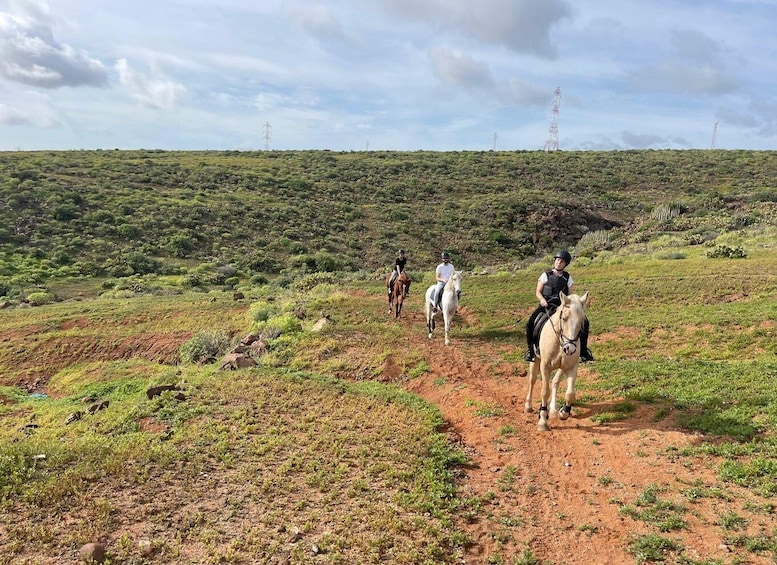 Picture 1 for Activity One hour horse riding tour in Gran Canaria