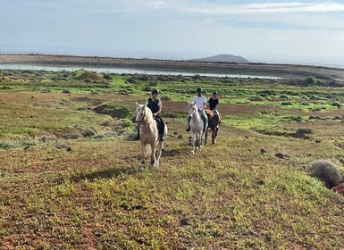 One hour horse riding tour in Gran Canaria