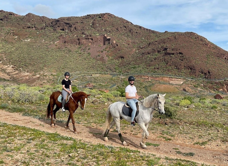 Picture 5 for Activity One hour horse riding tour in Gran Canaria