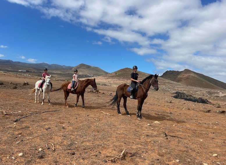 Picture 8 for Activity One hour horse riding tour in Gran Canaria