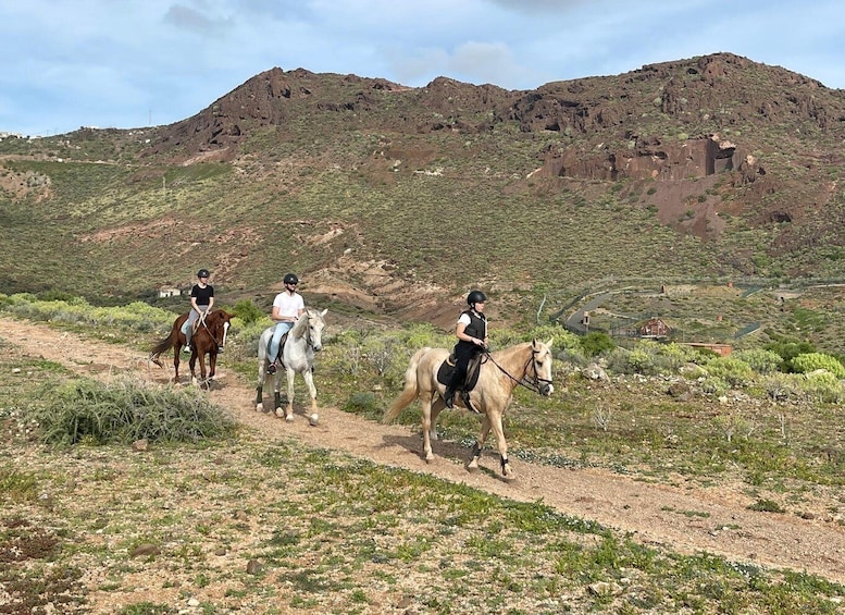 Picture 2 for Activity One hour horse riding tour in Gran Canaria