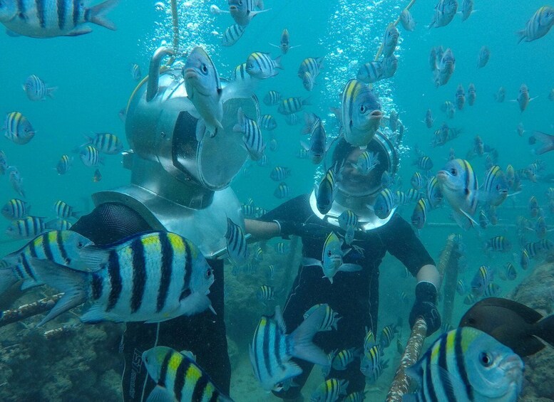 Picture 14 for Activity Nusa Dua: Underwater Sea Walking Experience