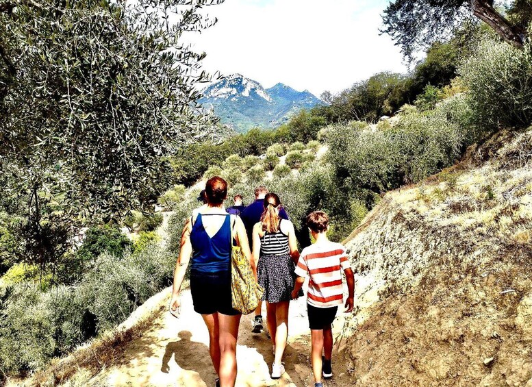 Picture 3 for Activity Menton Full Day: Citrus Farm, Old-Town (Botanic & Boat Exp)