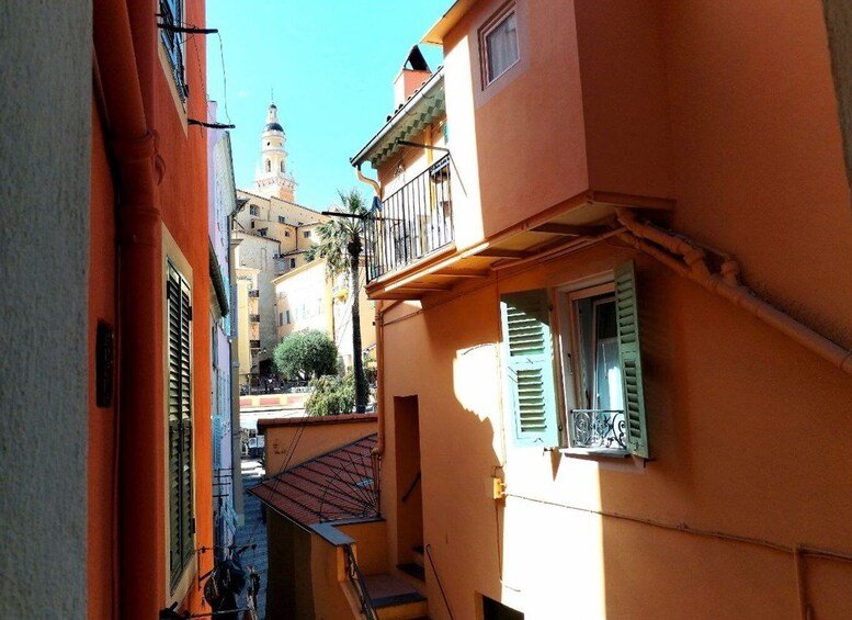 Picture 10 for Activity Menton Full Day: Citrus Farm, Old-Town (Botanic & Boat Exp)