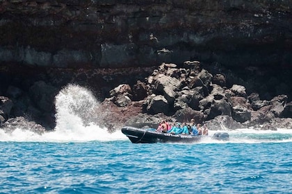 Kealakekua Bay: Snorkel and Coastal Adventure with Lunch