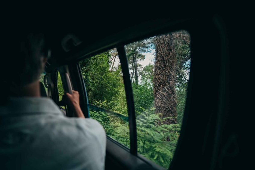 Picture 10 for Activity Kotor: Jeep Tour to Hidden Stone Village & Food Tasting