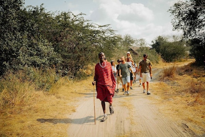 Zanzíbar y Tanzania: tour de aventura de 13 días en la playa y safari