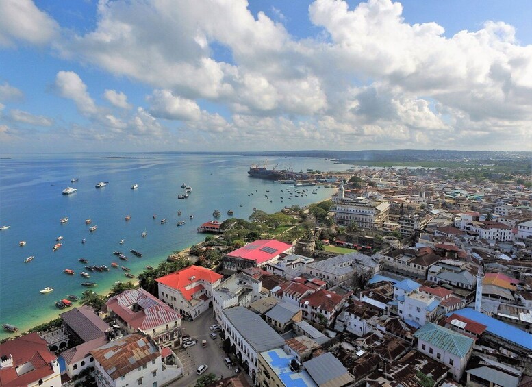 Picture 9 for Activity From Zanzibar City: Island and Safari 13-Day Tour