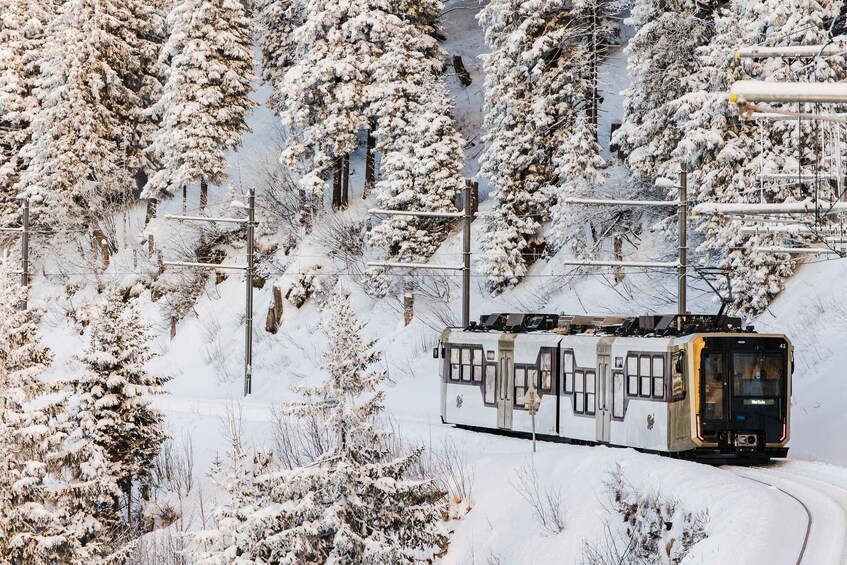 Picture 6 for Activity Queen of the Mountains Roundtrip, Mt. Rigi+Lake Lucerne+Spa