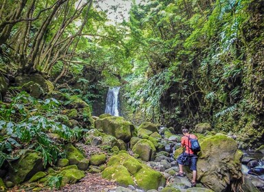 Día completo Faial da Terra + Nordeste desde Ponta Delgada