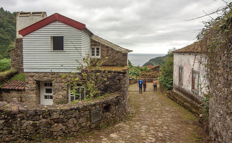 Picture 1 for Activity Full-Day Faial da Terra + Nordeste from Ponta Delgada