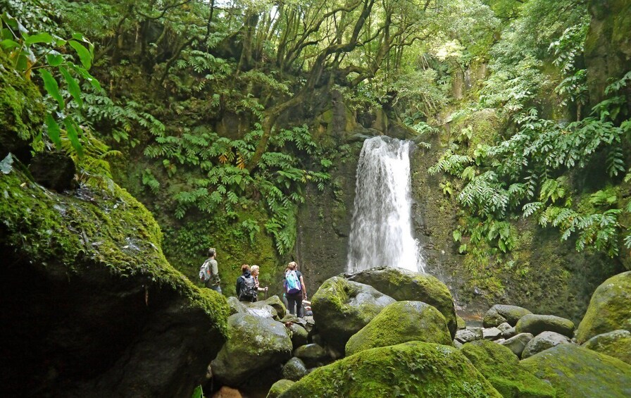 Picture 5 for Activity Full-Day Faial da Terra + Nordeste from Ponta Delgada