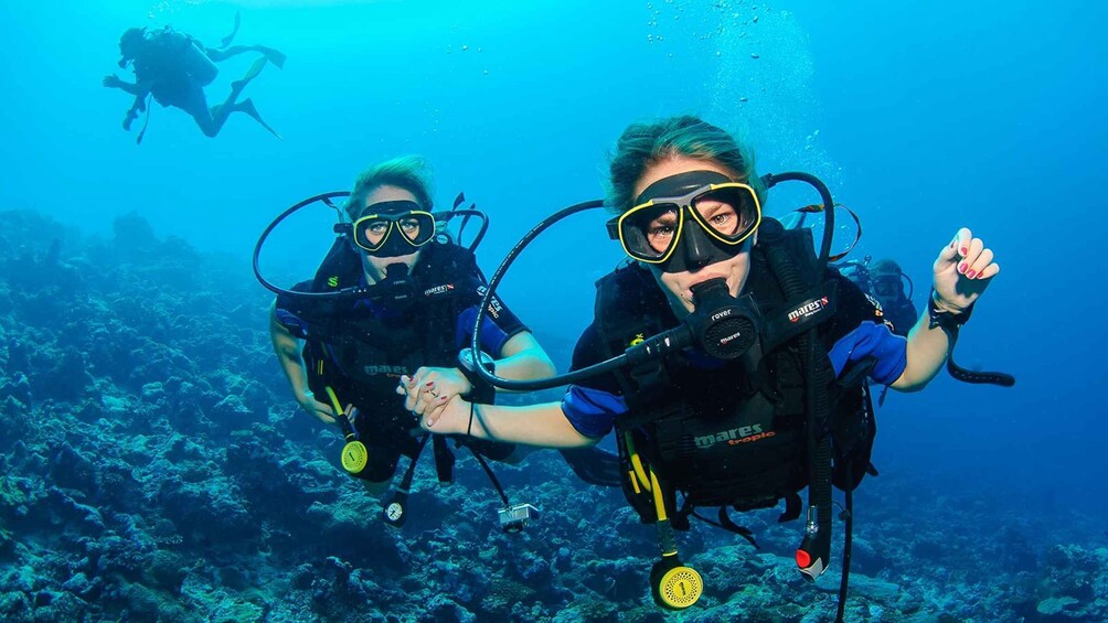 Picture 3 for Activity Bodrum: Full-Day Scuba Diving Tour