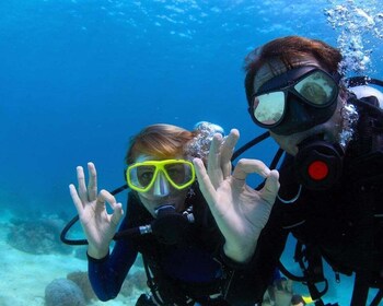 Bodrum : Excursion de plongée sous-marine d’une journée