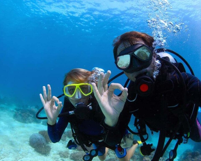 Bodrum: Full-Day Scuba Diving Tour