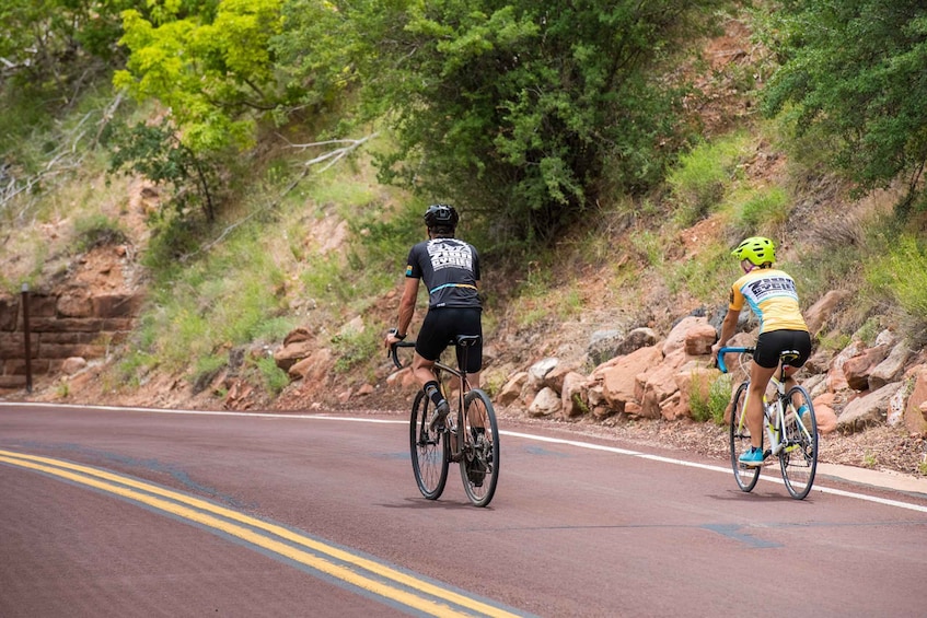 Picture 1 for Activity From Springdale: Zion National Park Bike Tour