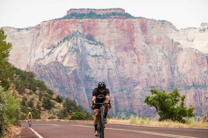 Fra Springdale: Cykeltur i Zion Nationalpark