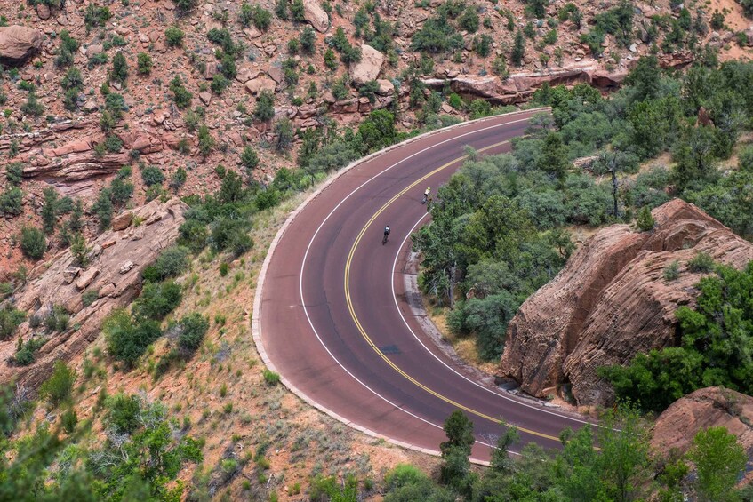 Picture 2 for Activity From Springdale: Zion National Park Bike Tour