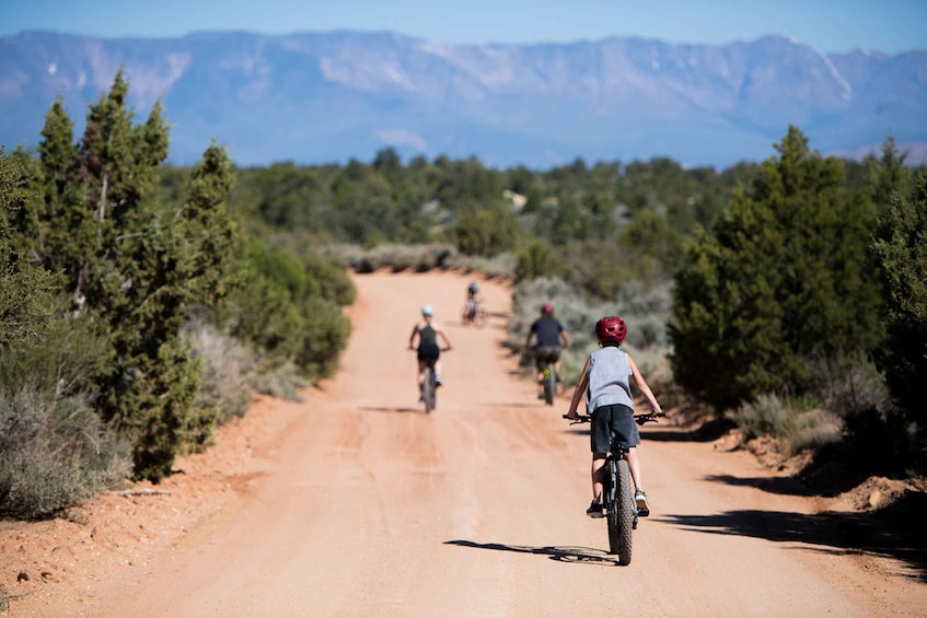 Picture 3 for Activity From Springdale: Zion National Park Bike Tour