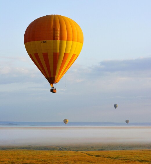 Picture 2 for Activity The best AirBalloon over Oasis, Desert, Valleys & Canyon