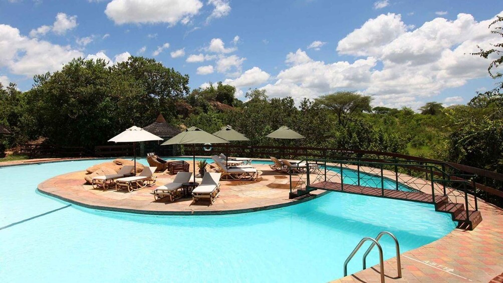 Picture 6 for Activity 7 Days Discover Kenya Safari