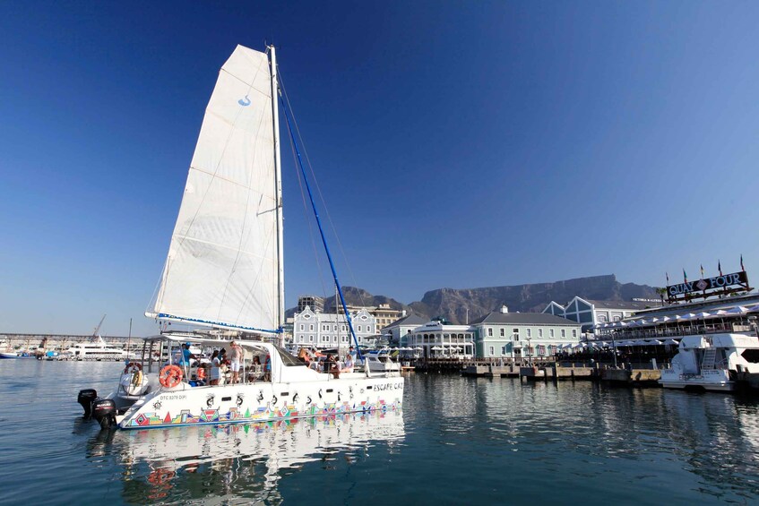 Picture 1 for Activity Cape Town: Table Bay Cruise by Catamaran