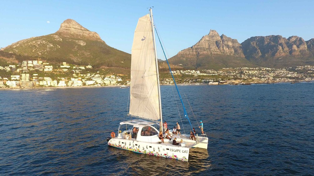 Picture 2 for Activity Cape Town: Table Bay Cruise by Catamaran