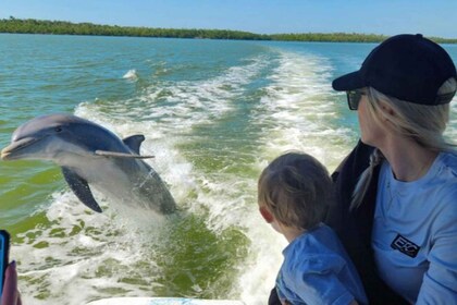 From Naples: 10,000 Islands Boat Trip & Everglades Walk!