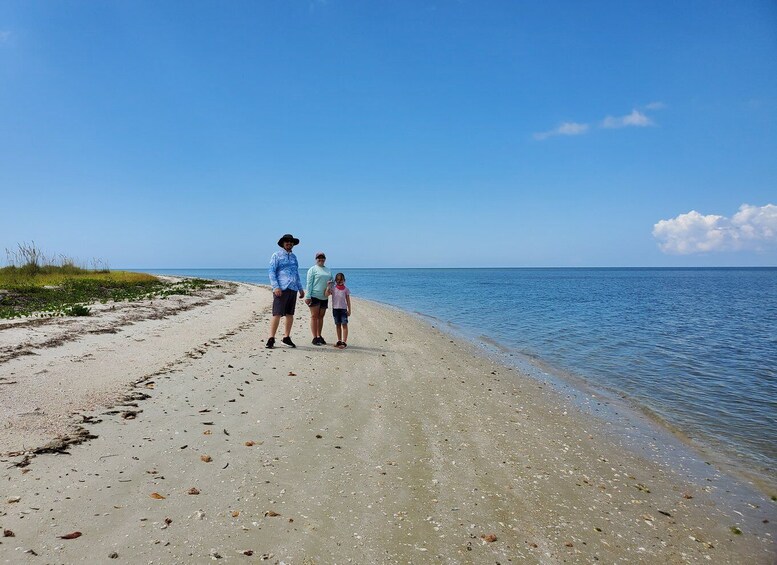 Picture 4 for Activity From Naples: 10,000 Islands Boat Trip and Everglades Walk