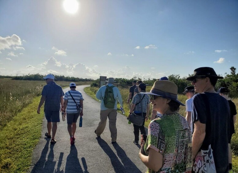 Picture 5 for Activity From Naples: 10,000 Islands Boat Trip and Everglades Walk