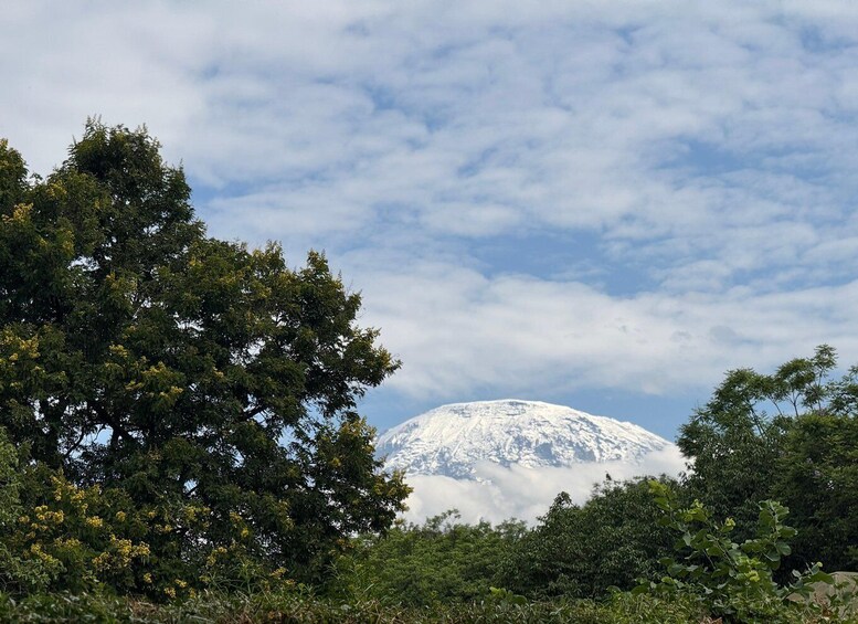 Picture 1 for Activity From Moshi: Materuni Waterfalls and Coffee Farm Day Tour