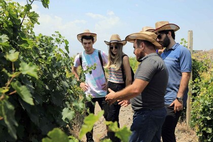 Yerevan: Khor Virap Day Trip with Mount Ararat Wine Tasting