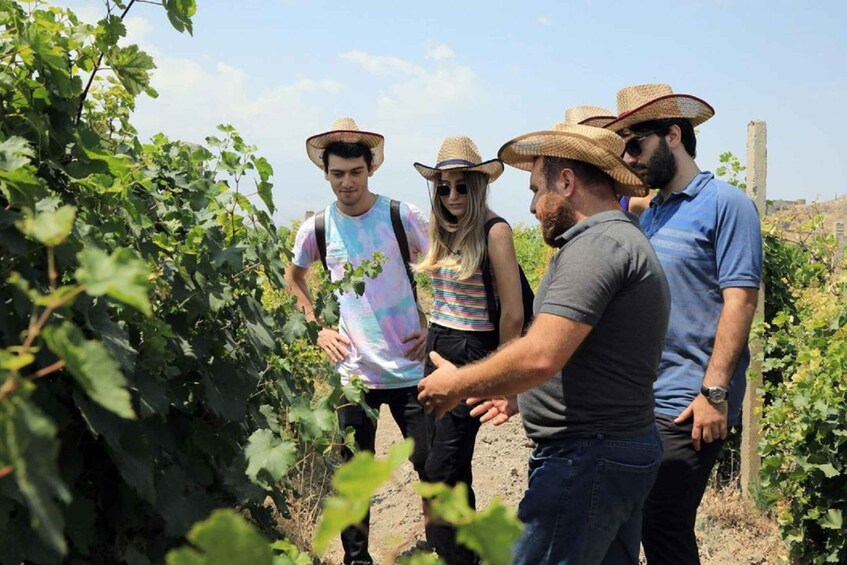 Yerevan Khor Virap Day Trip with Mount Ararat Wine Tasting