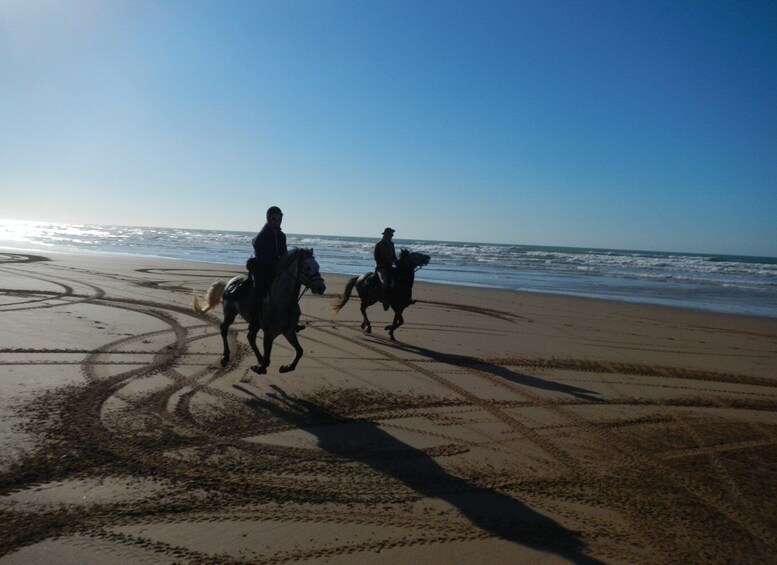 Picture 1 for Activity From Essaouira: 2h Horseback Ride with Sunset