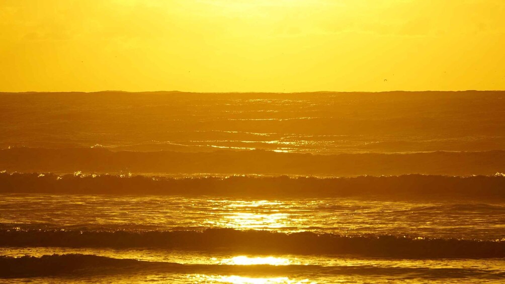 From Essaouira: 2h Horseback Ride with Sunset