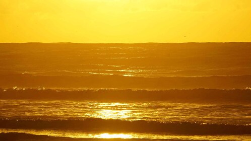 Desde Essaouira: paseo a caballo de 2 horas con puesta de sol