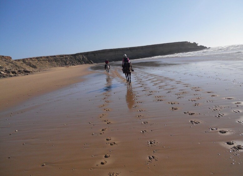 Picture 2 for Activity From Essaouira: 2h Horseback Ride with Sunset