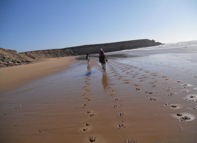 Picture 2 for Activity From Essaouira: 2h Horseback Ride with Sunset