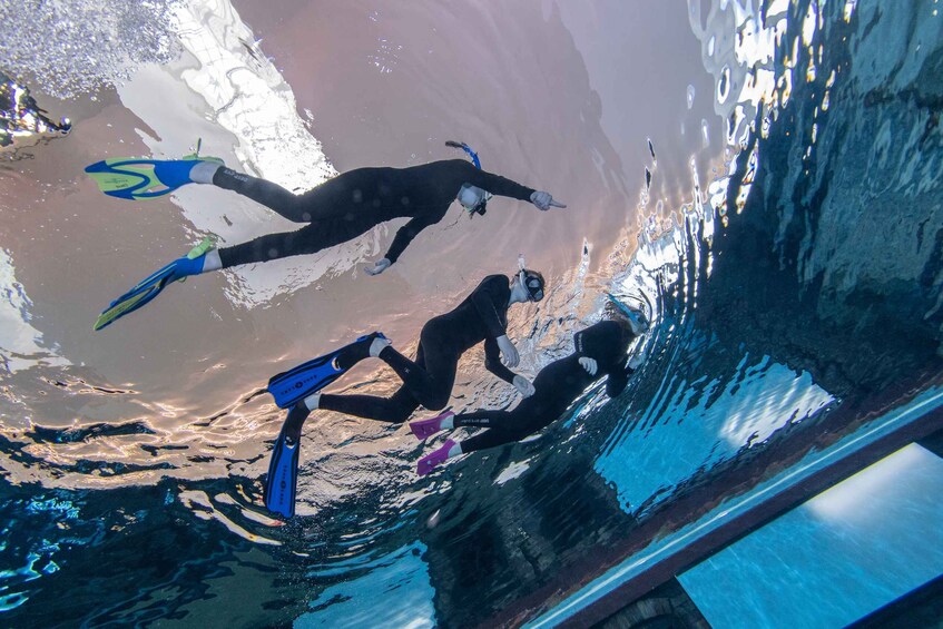 Picture 1 for Activity Dubai: Snorkeling at Deep Dive World's Deepest Pool