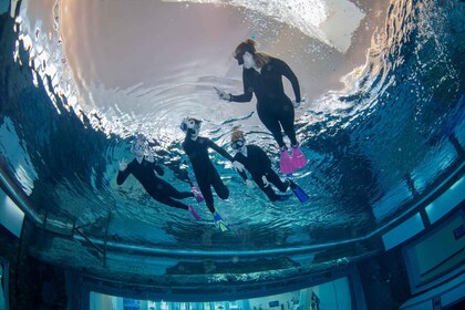 Dubai: Snorkeling at Deep Dive World's Deepest Pool