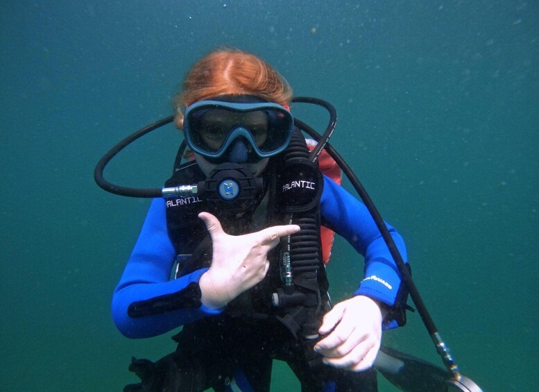 Picture 1 for Activity Fujairah: Try Diving Experience with underwater photos
