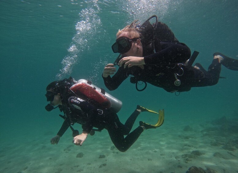 Picture 2 for Activity Fujairah: Scuba Dive experience with underwater photos