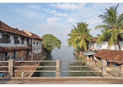 Det bedste af Alleppey (guidet heldags sightseeingtur i bil)