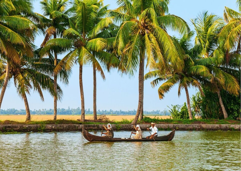 Picture 6 for Activity Best of Alleppey (Guided Full Day Sightseeing Tour by Car)