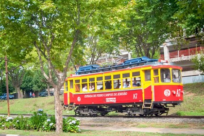 São Paulo: Campos do Jordão Guided Tour