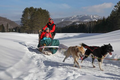 Mont-Tremblant: Guided Dogsledding Tour with Hot Chocolate